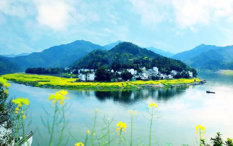 独特智慧智慧